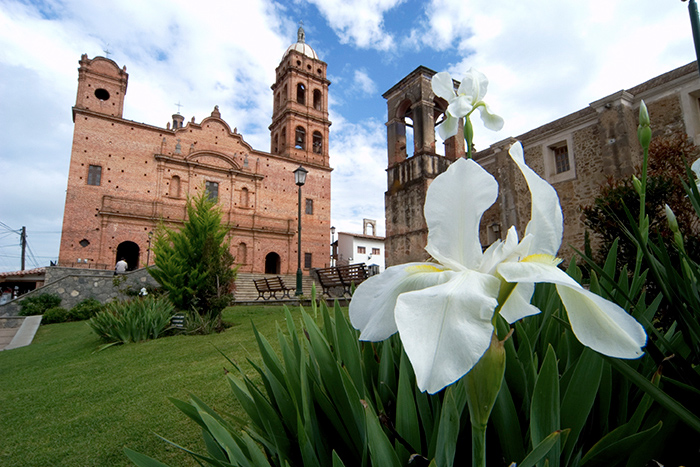 Fotografía que muestra en primer plano una orquídea de color blanco y de fondo se distingue la fachada de un templo